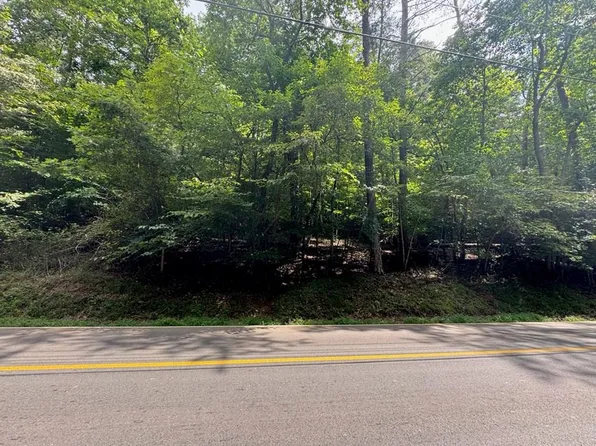 166 Beaver Lake Dr, Ellijay, GA 30540