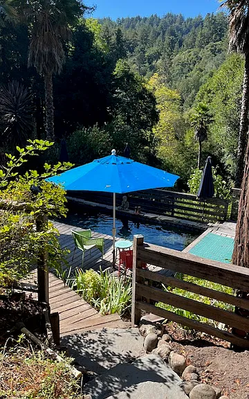 view from entrance of the cottage