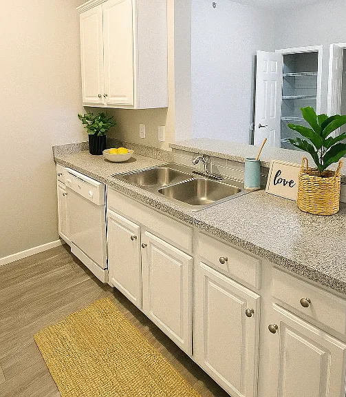 Owens Lake Commons Apartments & Townhomes — Photo 40
