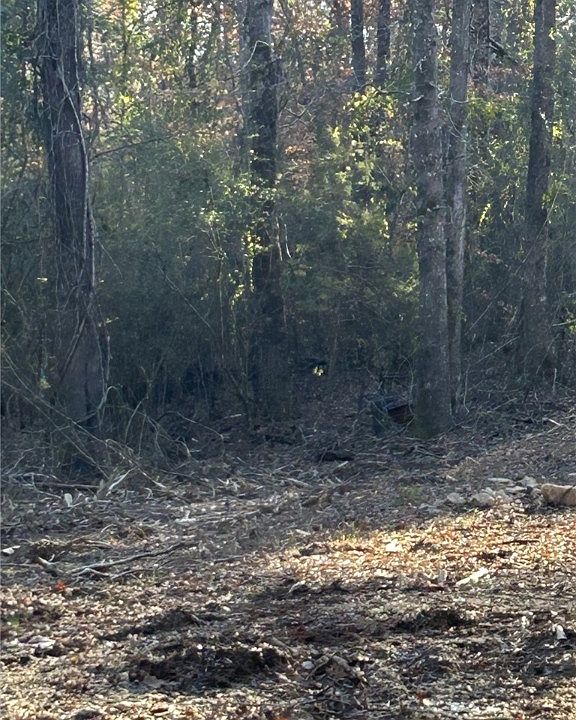 1st image of 0 Lee Road 617