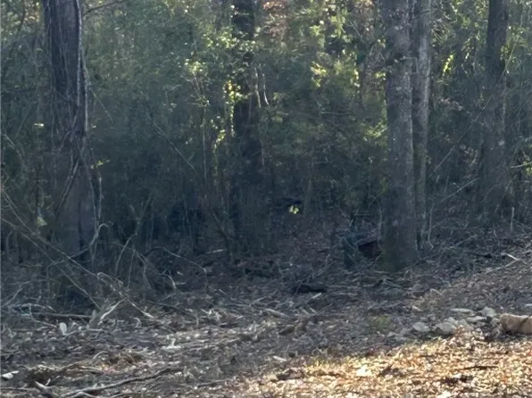 0 Lee Road 617, Auburn, AL 36832