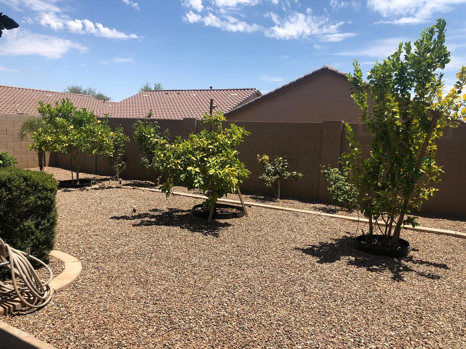4 bed, 1625 sqft, $2,250 — Photo 2