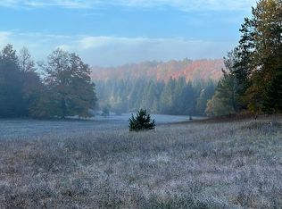 9345 W 8th Rd #B, Mesick, MI 49668