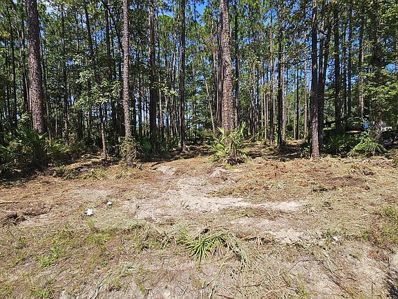 3rd image of 323 Baker Creek Rd