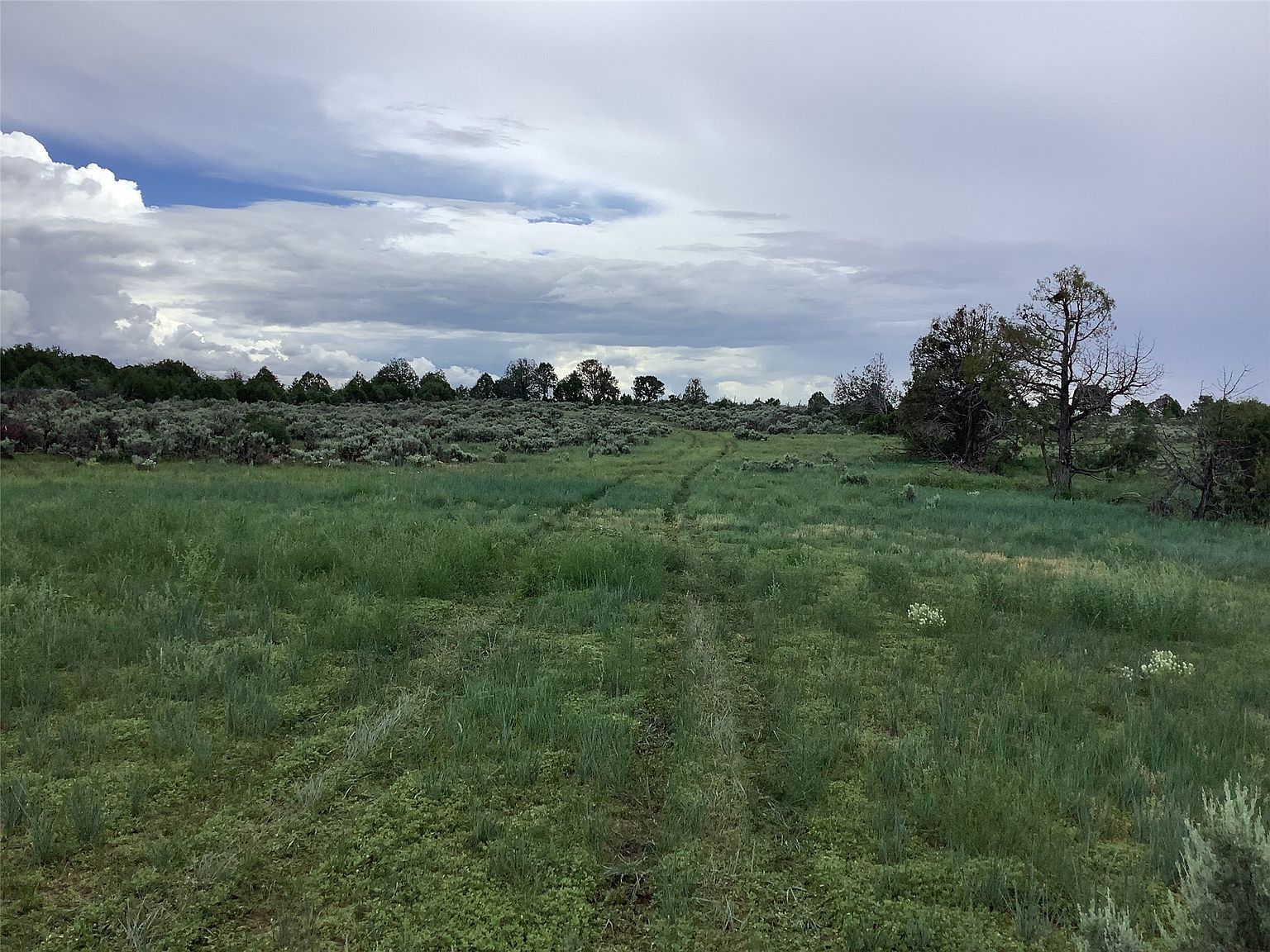 County Road 77, Truchas, NM 87578 MLS 202233205 Zillow