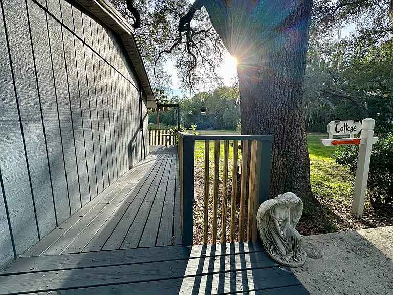 Young Pl — Photo 15