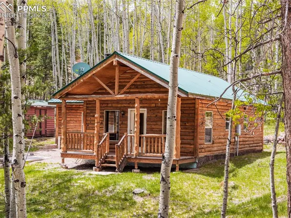 317 Wakanda Trl, Woodland Park, CO 80863