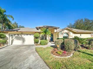 2602 Greatview Pl, Valrico, FL 33596