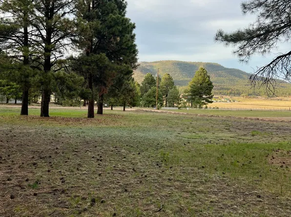 18 COUNTY RD 2063 -- #8, Alpine, AZ 85920