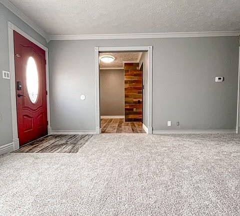 4th image of 116 Richie Ave