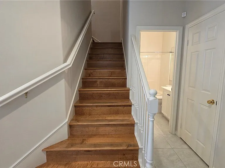 29 Carnation — Photo 19