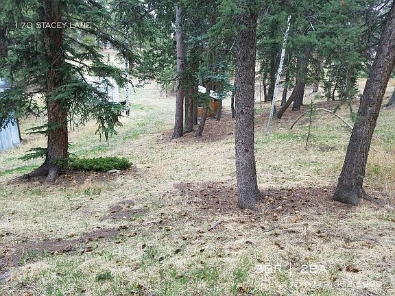 4th image of 170 Stacey Ln