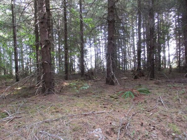 0 NW Crane Ln #1, Yamhill, OR 97148
