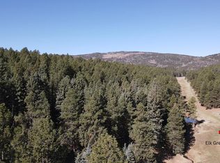 25 San Andres Cir, Angel Fire, NM 87710