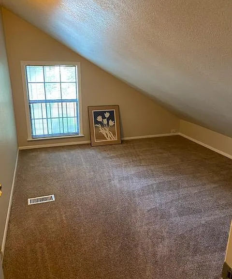 Bonus room/office