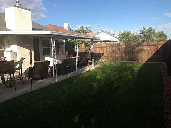 Backyard Summer