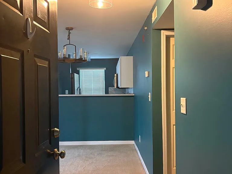 9201 Spring Creek Ln — Photo 2