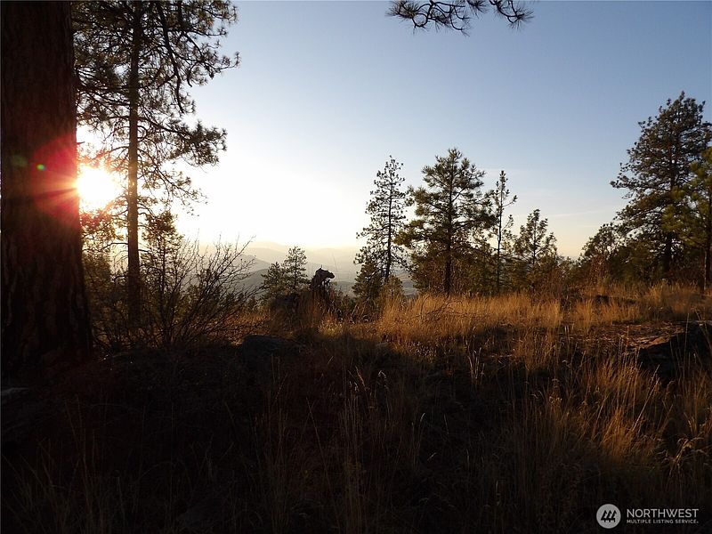 3rd image of 0 TBD Bear Camp Road