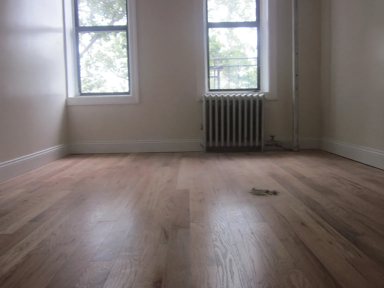 204 Ross Street — Photo 4