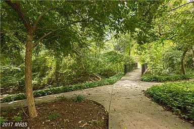 10500 Rockville Pike #527 — Photo 37