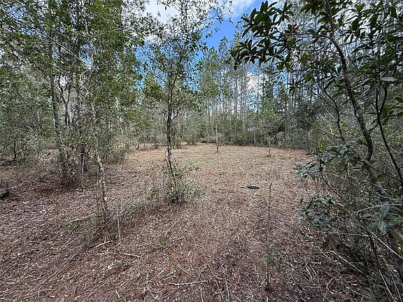 5th image of 859 Wild Cur Rd Lot 100