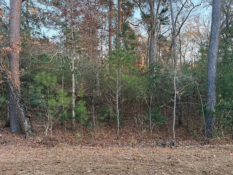 173 Fern Bridge Dr — Photo 19