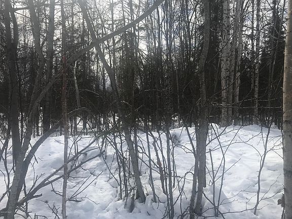 3rd image of 20200 E Secluded Lake Loop