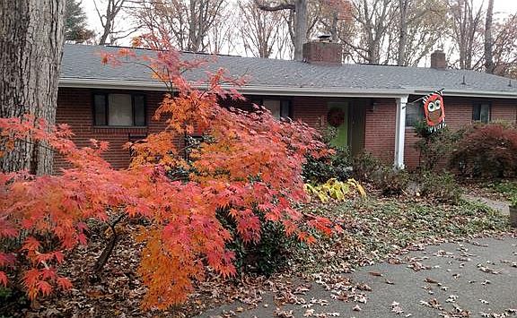 3rd image of 605 Gunby Dr