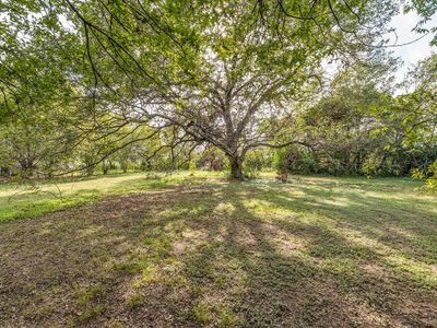 1506 Fannin St, Waco, TX, 76705