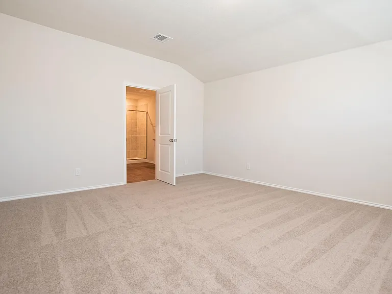 4811 Vogesite Path — Photo 16