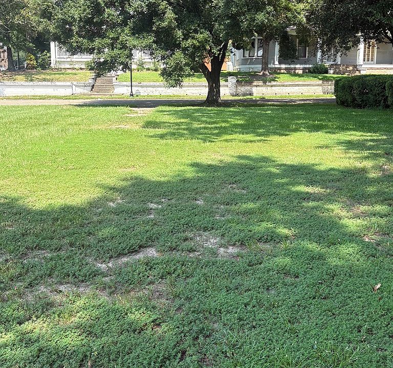 2nd image of 523 N 6th Ave