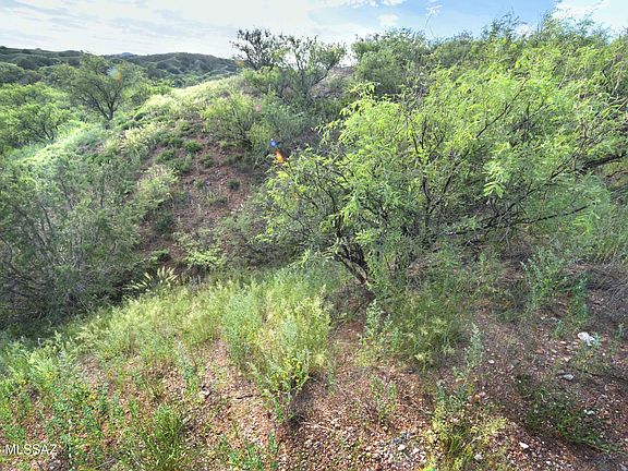 2nd image of 847 Side Oats Ln Lot 192