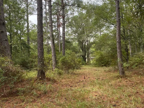 0 Earlston Rd, Graceville, FL 32440