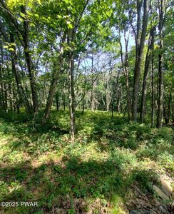 146 Plateau Dr, Lackawaxen, PA, 18435