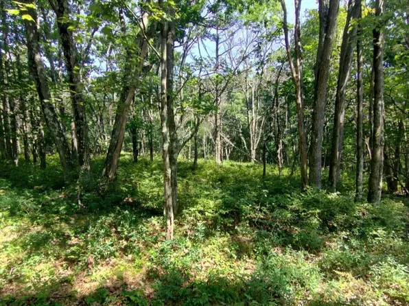 146 Plateau Dr, Lackawaxen, PA 18435