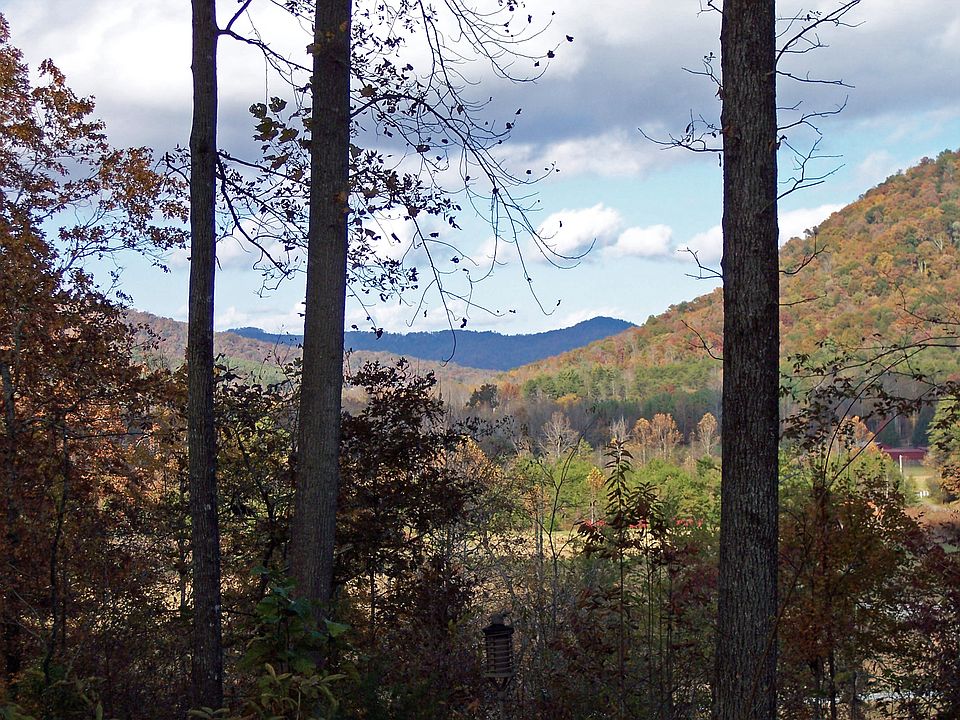 View from screen room