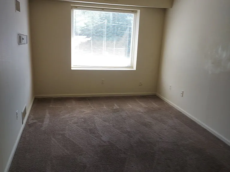 823 Springfield Rd — Photo 6