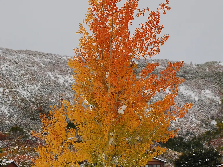 beautiful all year round