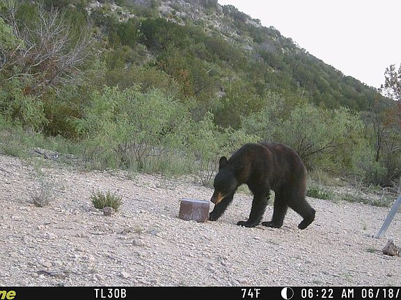 3rd image of 0 N State Hwy #349