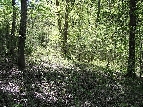 2nd image of 0 Graham Rd Lot 6334AC