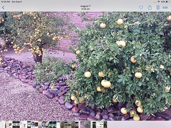 5th image of 5610 E Territory Dr