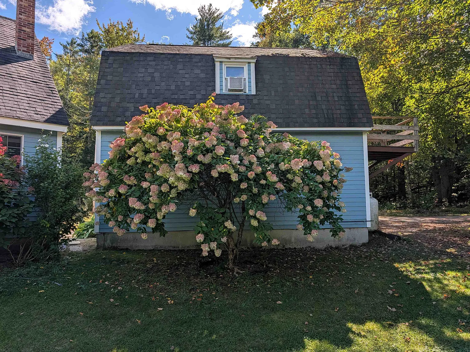 2 bed, 1.0 bath, 720 sqft, $2,000 — Photo 3