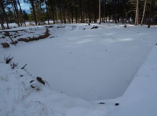 14290 Holmes Rd, Colorado Springs, CO 80908