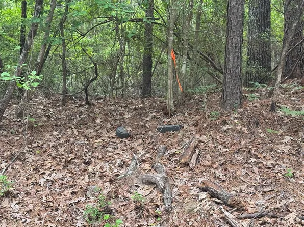 LOT 239238 Arborcrest Dr, Brookeland, TX 75931