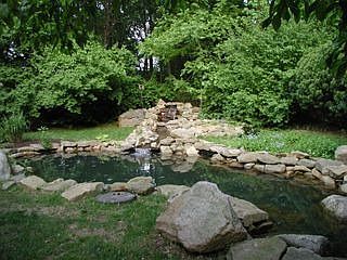 Koi Pond