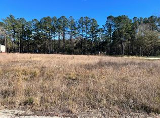 7243 E Raw Dew Dr, Awendaw, SC 29429