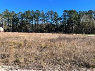 7243 E Raw Dew Dr, Awendaw, SC, 29429