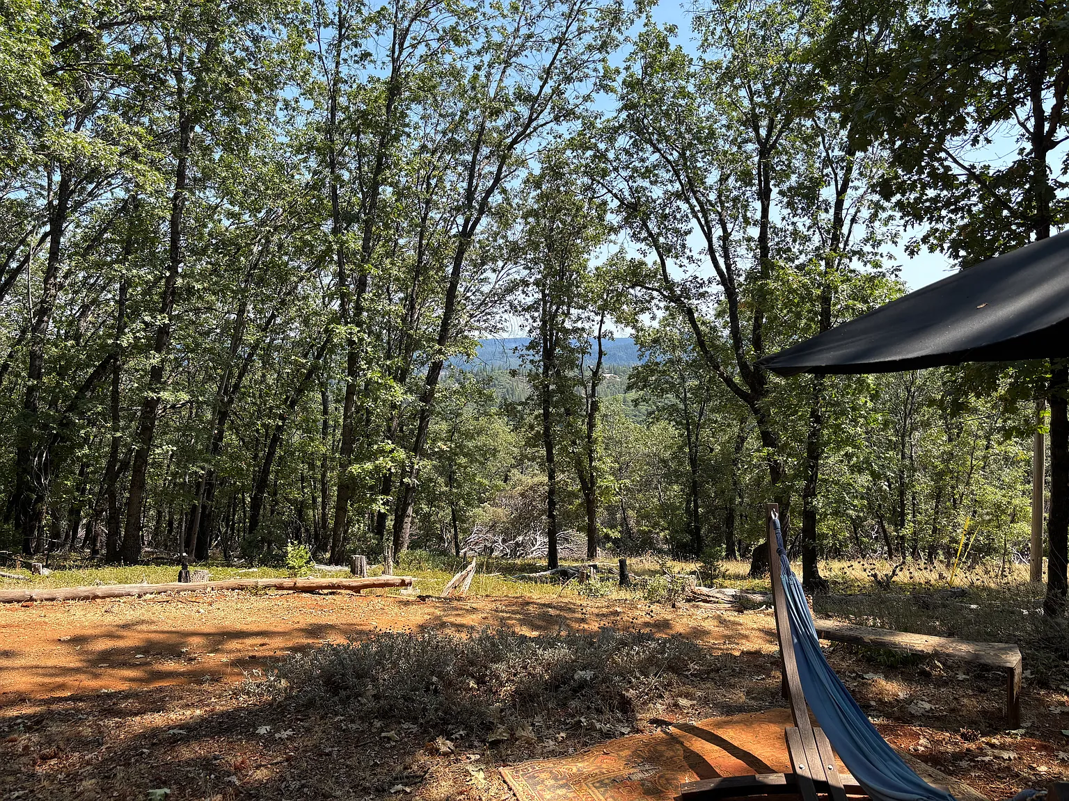 1 bed, 400 sqft, $1,175 — Photo 3