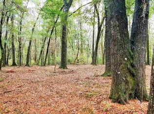 Tbd Cormorant St, Georgetown, SC 29440