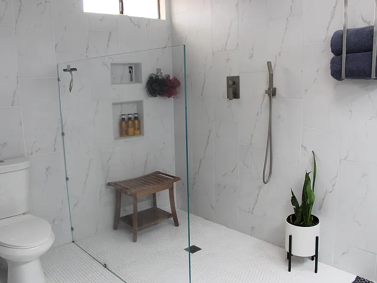 Master Bathroom Shower